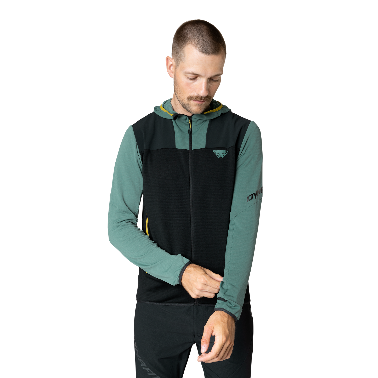 Dynafit Traverse PTC Hooded Jacke Atlantic – Herren Midlayer - Pöllner Sports